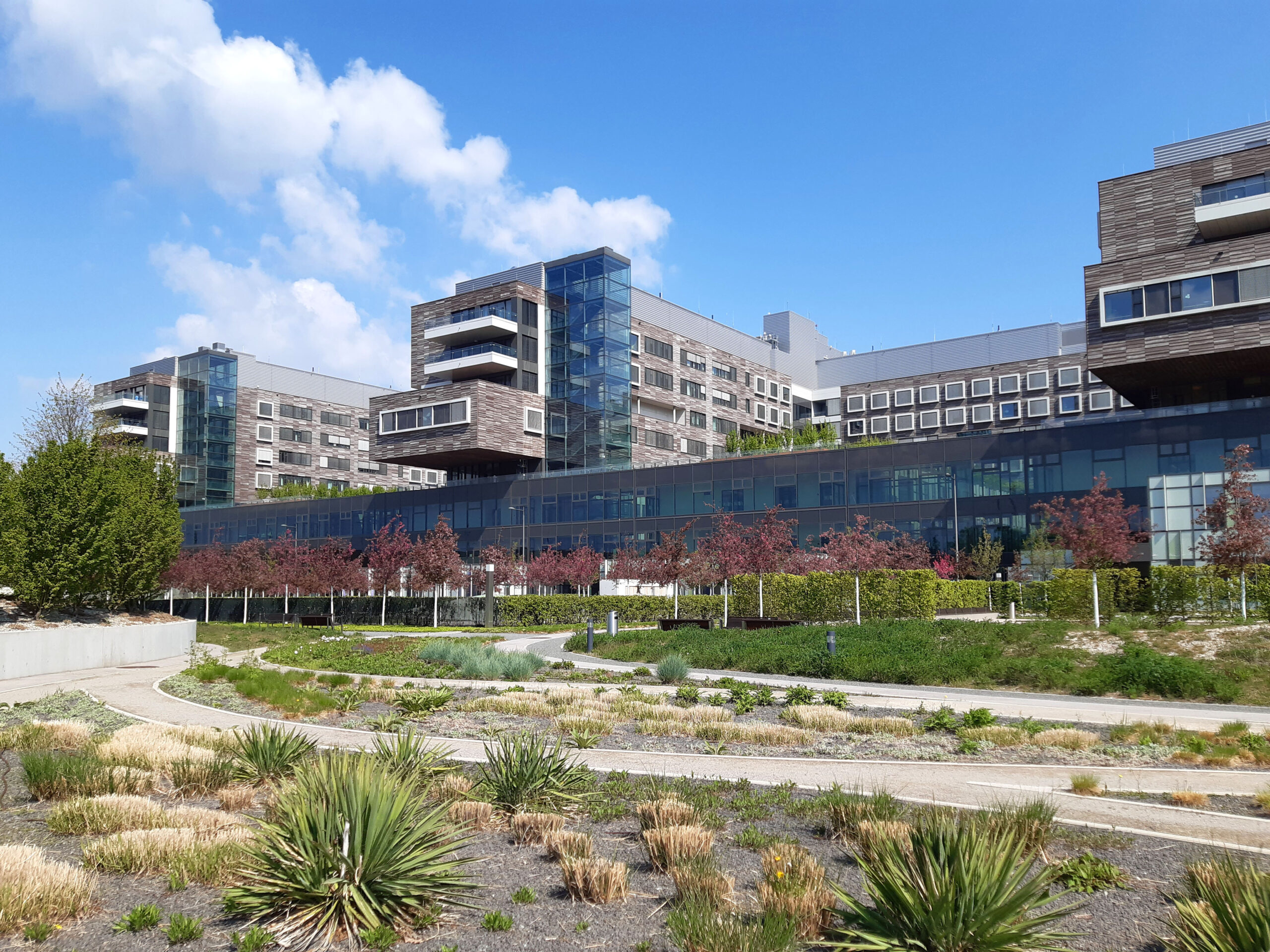Boys’Day in der Klinik Floridsdorf