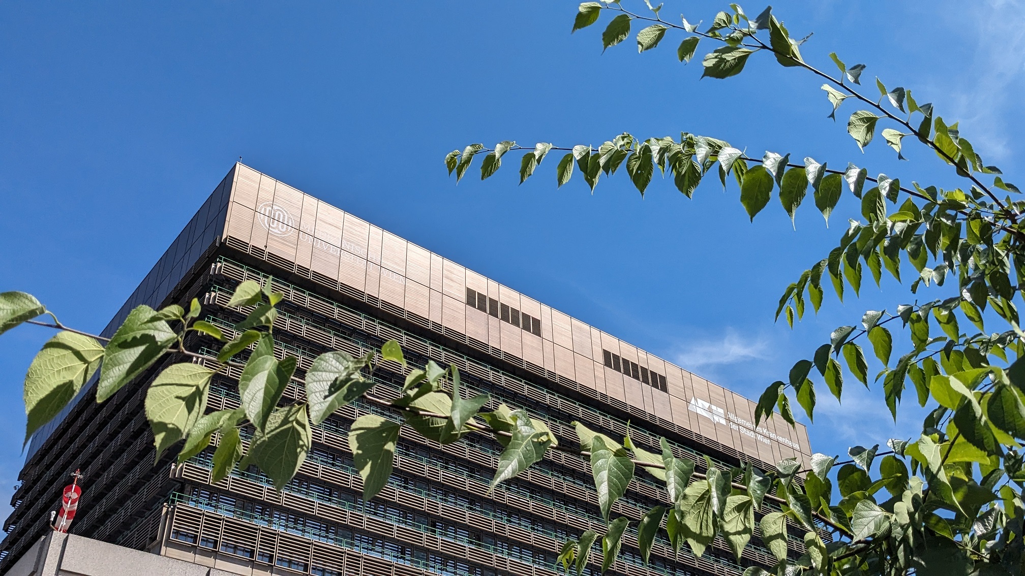AKH Wien – Klinische Soziale Arbeit Kinderklinik – Wiener Gesundheitsverbund